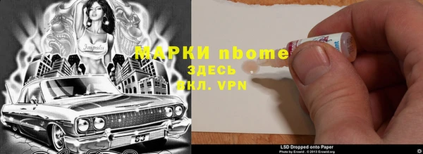 сатива Тайга