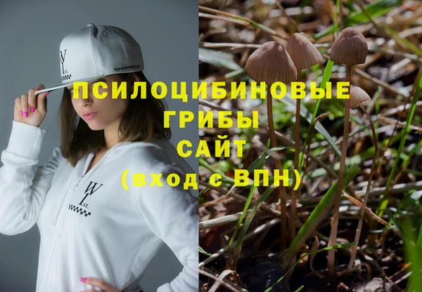 бутират Лагань