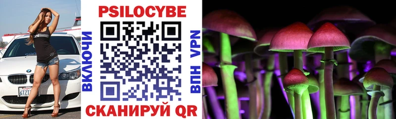 гидра зеркало  Ладушкин  Галлюциногенные грибы Psilocybine cubensis 